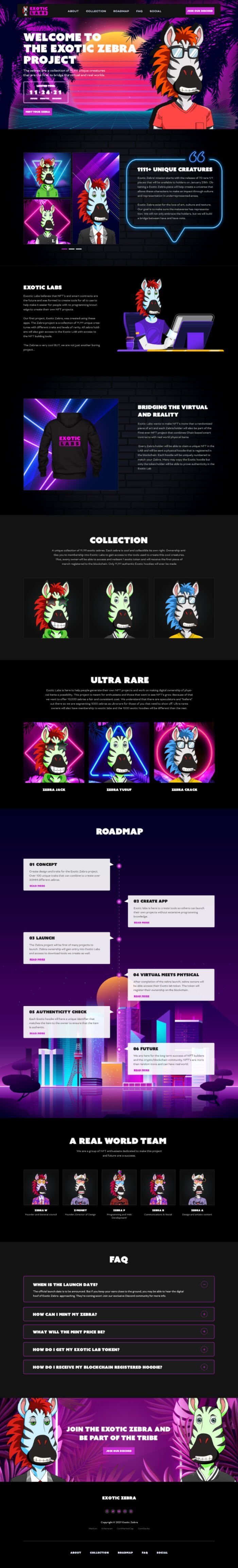 Custom Websites Designer